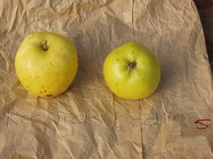 Keswick Codling-eple